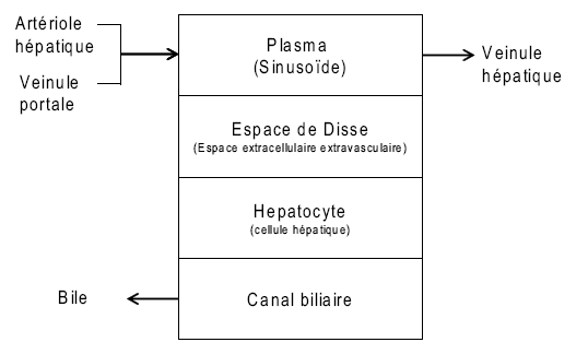 lm3.png